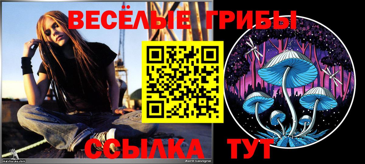 Дзержинск  Галлюциногенные грибы мухоморы  наркота  Вход с VPN  Галлюциногенные грибы Magic Shrooms 