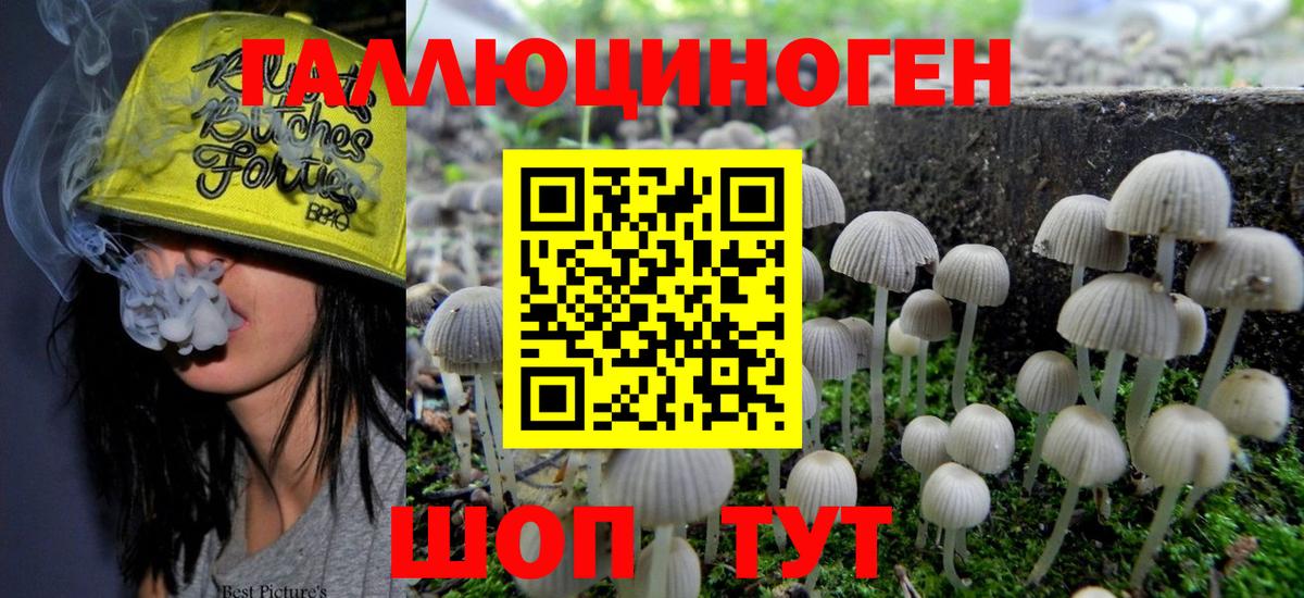 Галлюциногенные грибы ЛСД Дзержинск